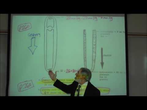 BARORECEPTOR REFLEX, GRAVITY & POSTURAL HYPOTENSION by Professor Fink