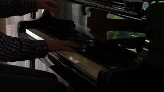 Lucien Chevaillier (1883-1932): Berceuse (Lullaby) op. 65; Marco Inchingolo, piano