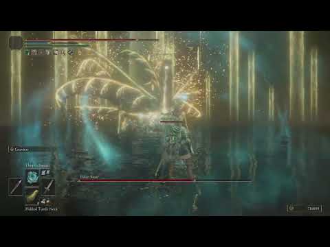 Thops's Barrier against the Elden Beast