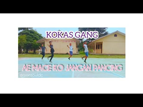 download lagu mp3 mp4 Lagu Acara Papua Baru, download lagu Lagu Acara Papua Baru gratis, unduh video klip Lagu Acara Papua Baru