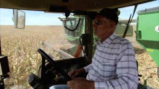 Kansas Farm Family Corn Harvest: America&#39;s Heartland