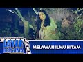 MELAWAN ILMU HITAM FULL MOVIE MARISSA HAQUE HENDRA CIPTA LAYAR BERSAMA