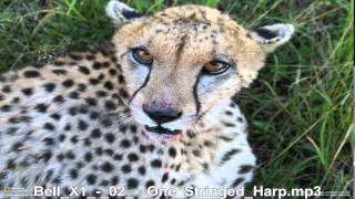 Bell X     One Stringed Harp