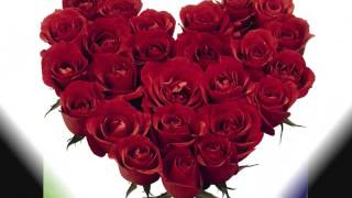 George Hamilton IV      HALF AS MUCH