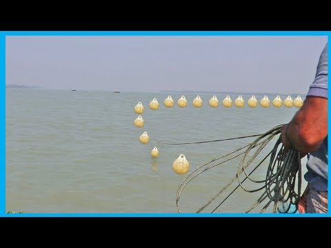 Big Catch Fishing (Hilsa Fish) in the Deep Sea with Big Fishing Boat | Fish Corn
