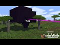 Evolution Of The Wither Storm