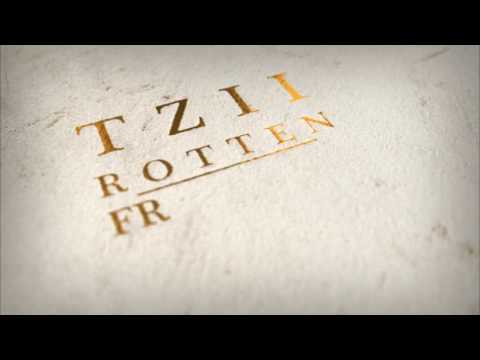Tzii - Rotten Friendship CD+DVD teaser