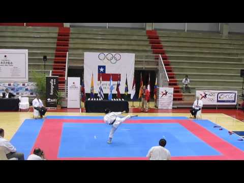 JKA Chile 2014 Torneo Columbus - Aimi Larrosa (Kanku Dai)