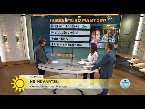 Dubbelbordet i Mantorp: "Haft fantasier om att döda" - Nyhetsmorgon (TV4)