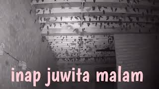 Download lagu Inap juwita malam by arib budiman mp3 Download lagu Inap juwita malam by arib budiman mp3