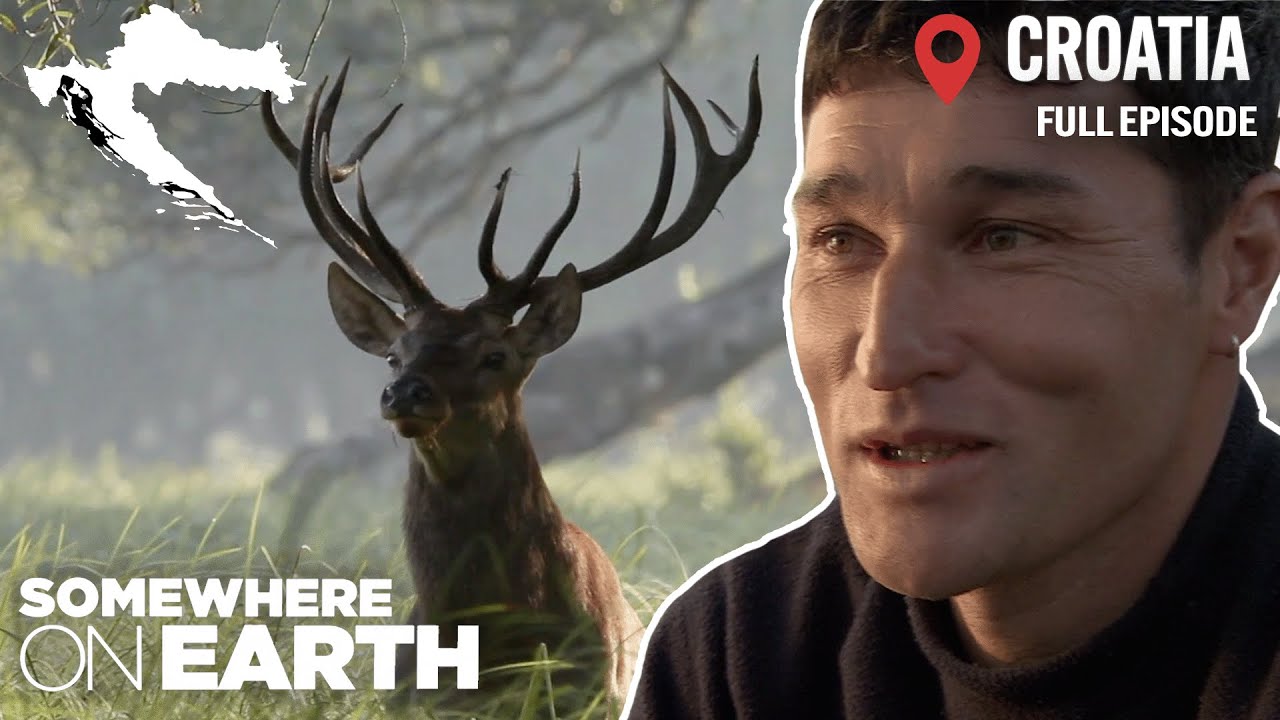 Planet Earth: Croatia | With Goran Safarek, Wildlife Photography in the Wetlands | Documentary
