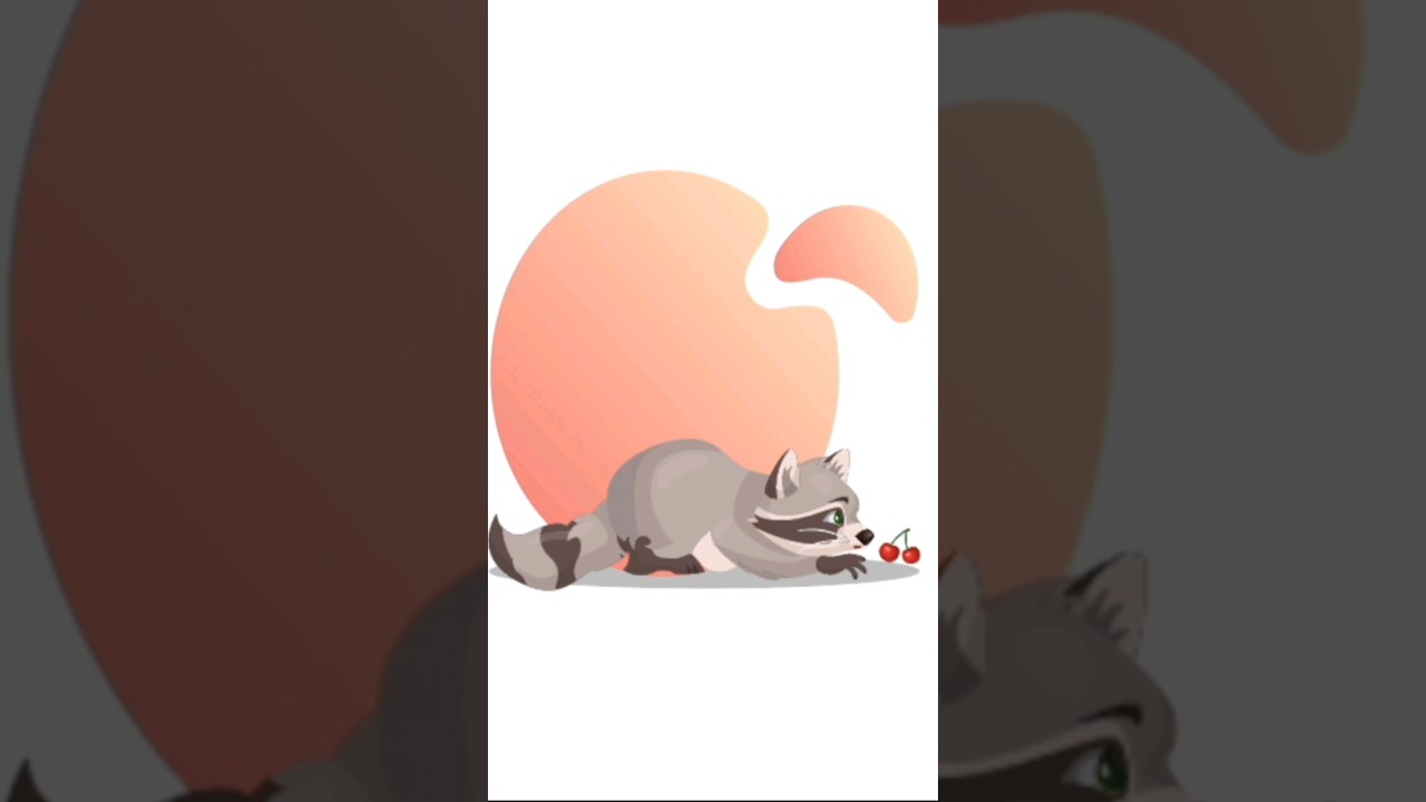raccoon 🐺 #adobeillustrator #vector #illustration