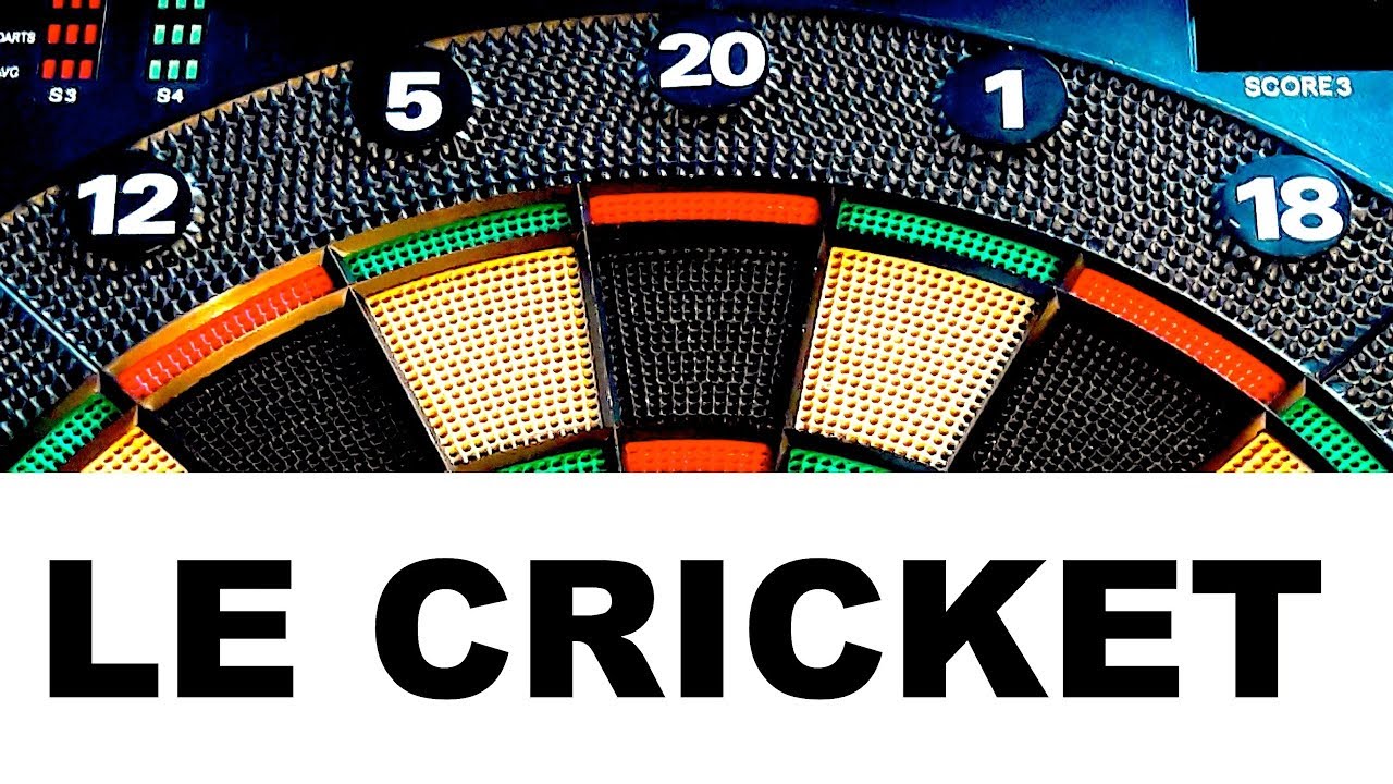 --TUTO-- APPRENDRE A JOUER AU CRICKET (niveau débutant)