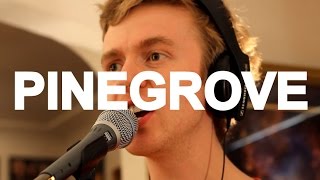 Pinegrove - "Problems" Live at Little Elephant (2/3)