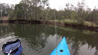 Daiwa certate finesse 2004 custom