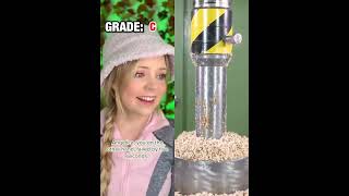 Download lagu #Pov #funny #humour #teacher #skit #story #comedy #PovStory #shorts #YouTubeShorts mp3