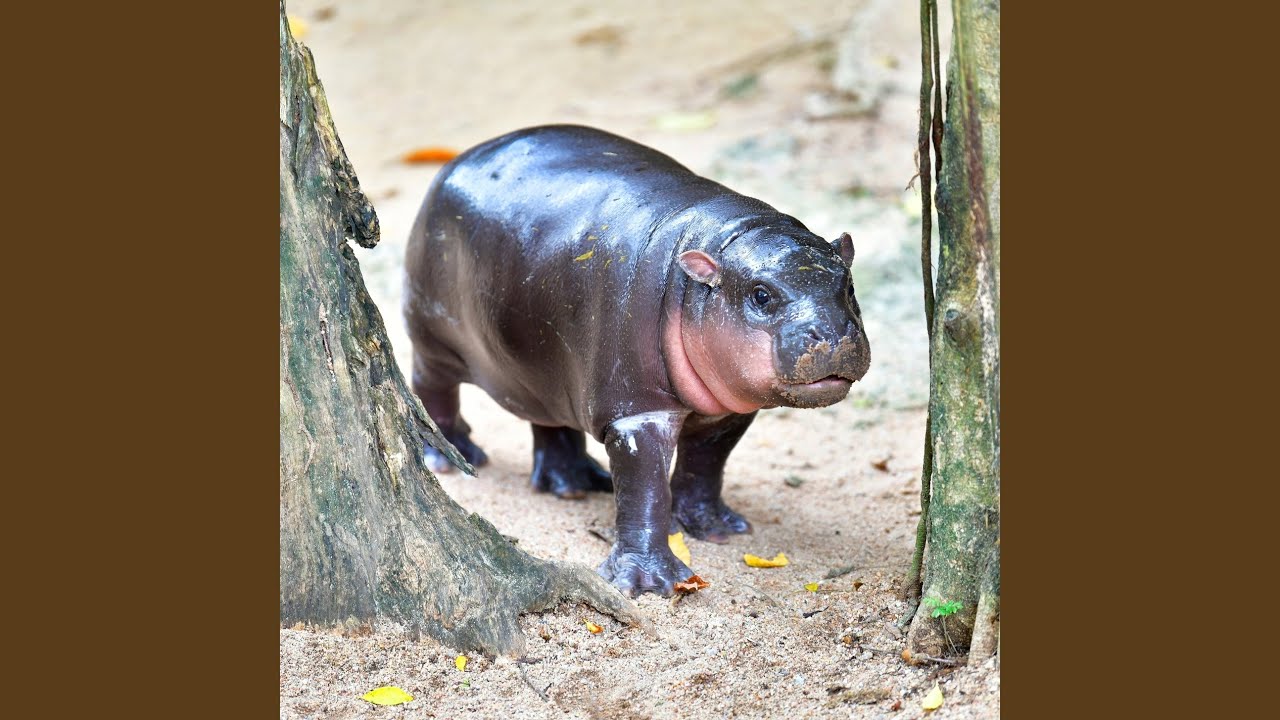 Baby, It's Cold Outside