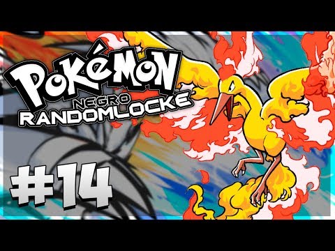 THE MOST LEGENDARY EPISODE 😭 - POKEMON BLACK RANDOMLOCKE Episode 14 | HARDY Series