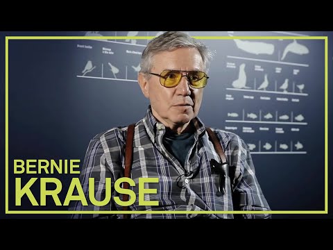 Vido de Bernie Krause