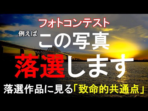 写真コンテスト:生態はとても美しい