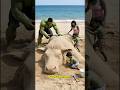 Spider Man And Hulk With Their Families Build A Giant Sand Cow Marveltoys Hulk Spiderman Shorts