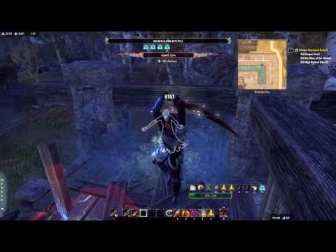 Elder Scrolls online DPS test (Stamina Dragonknight DW and 2h)