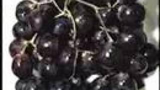 Slut - Time Is Not A Remedy