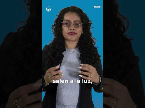 Opinión: Riesgos en la compra-venta de vivienda en México