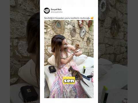 Sevildiğini hisseden yavru kedilerin mutluluğu 🥰