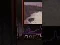 CBC North Mid 1980s Network ID Vintagetv