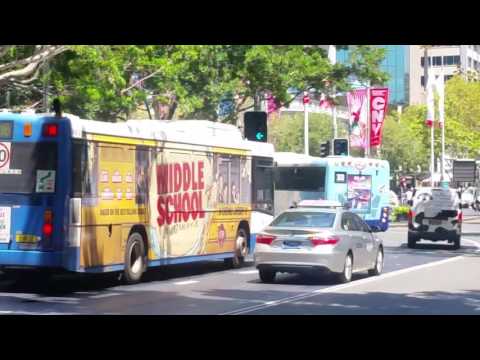 Sydney City Transport Vlog 100 Part 6: Sydney Buses