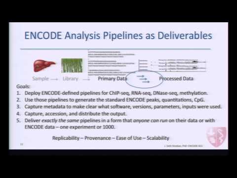 ENCODE Uniform Data Processing Pipelines: Introduction - J. Seth Strattan