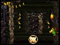 Donkey Kong Country 2 Diddy S Kong Quest Stream Session Part 3 The End Of A Gregg Game