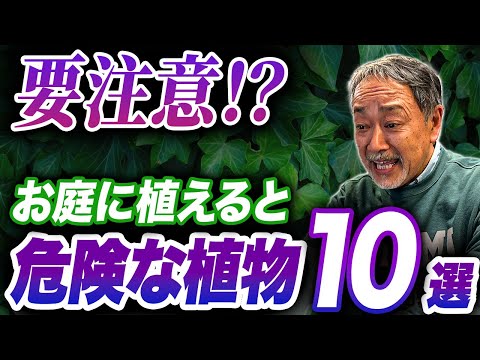 菜園と組み合わせてはいけない植物はどれですか?悪い関連付けの完全なリスト  庭園