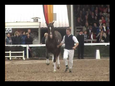 Ldb. Dankeschön v. Danone I (Aktionstraber)