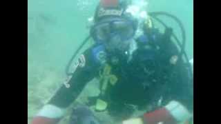 preview picture of video 'Helena NZ DIVE SCUBA PICTON 2 nine dives'