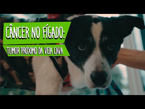 História de superação