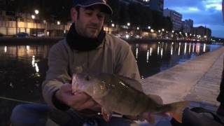 Miniature de la vidéo Grosse perche au Reins Rockvibe