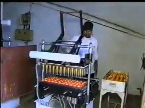 Semi Automatic Wafer Cone Making Machine