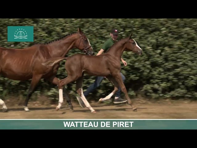 WATTEAU DE PIRET