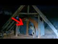 Cheeky Lion Steals Pillow From Campers Tent
