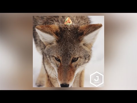 Joey Jewish - Lone Wolf