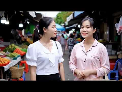 thi công nhà yến