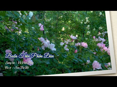 Buồn trên phím đàn - Sơn Túi Đỏ