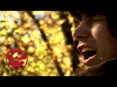 Colds: What Happens in the Body? - World of Wonders