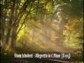 Franz Schubert - Allegretto in C Minor (D.915)
