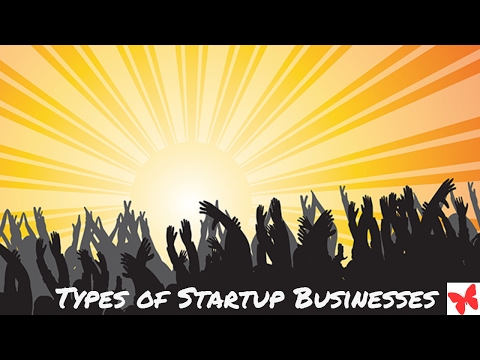 Wantrepreneur2Day #StartupSeries: Types Of Startups Businesses