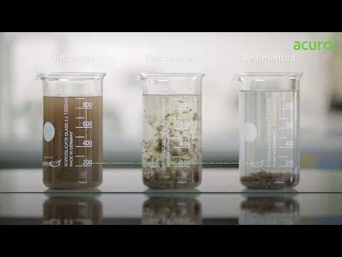Polyelectrolyte Flocculant Polymer