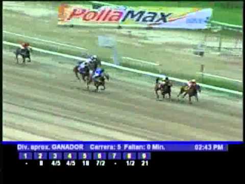 Resumen Domingo, 29 de Enero de 2012 - La Rinconada