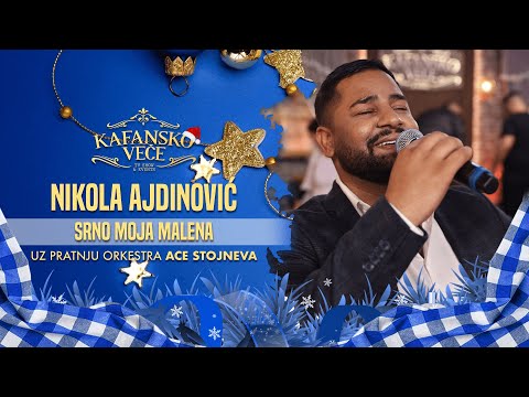 NIKOLA AJDINOVIC - SRNO MOJA MALENA | UZIVO | (ORK. ACA STOJNEV) | 2024 | NG
